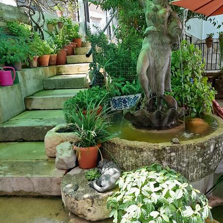 Affittacamere Casa Paco El Bosque Esterno foto